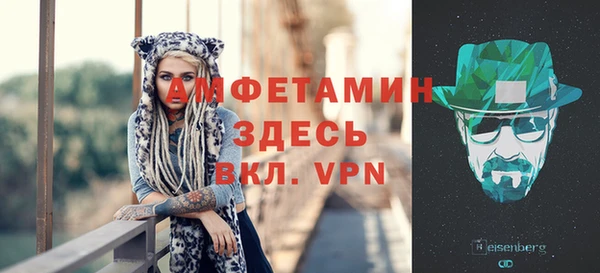 прущие грибы Снежногорск