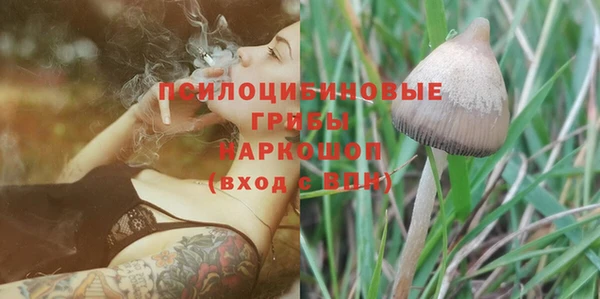 ALPHA-PVP Белокуриха